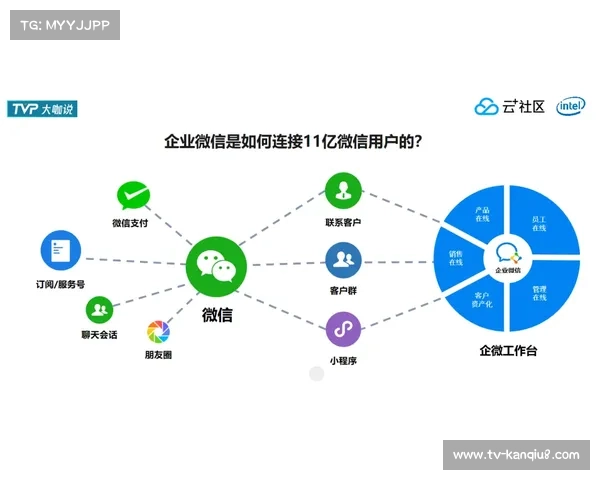 体育内容平台机制融合线下赛事，打造闭环体验